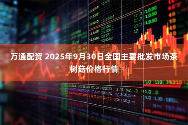万通配资 2025年9月30日全国主要批发市场茶树菇价格行情