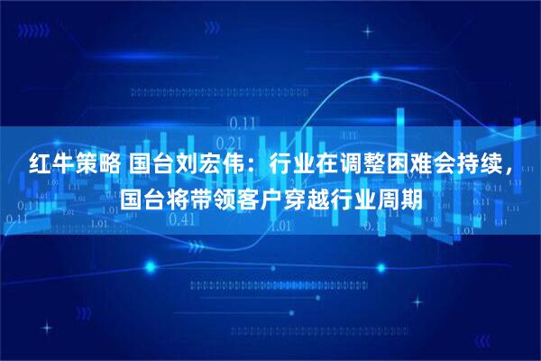 红牛策略 国台刘宏伟：行业在调整困难会持续，国台将带领客户穿越行业周期