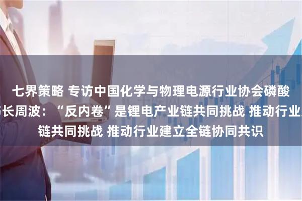 七界策略 专访中国化学与物理电源行业协会磷酸铁锂材料分会秘书长周波：“反内卷”是锂电产业链共同挑战 推动行业建立全链协同共识